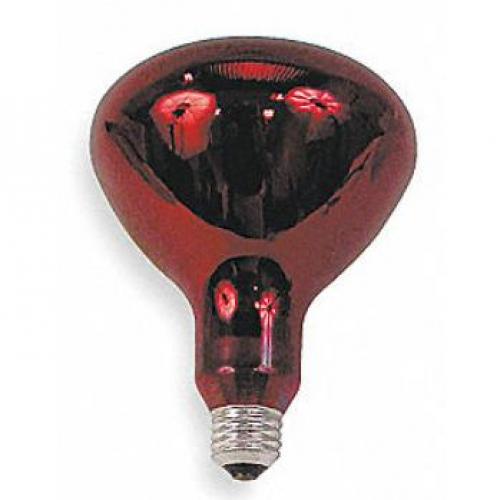 (DELISTED)37771 INCANDESCENT LAMPS